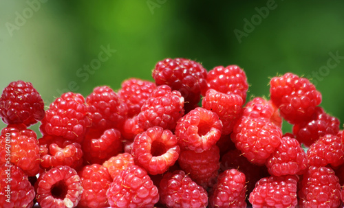 Foto natural raspberries