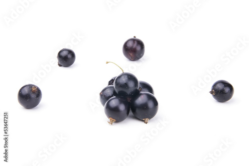 isolated currant