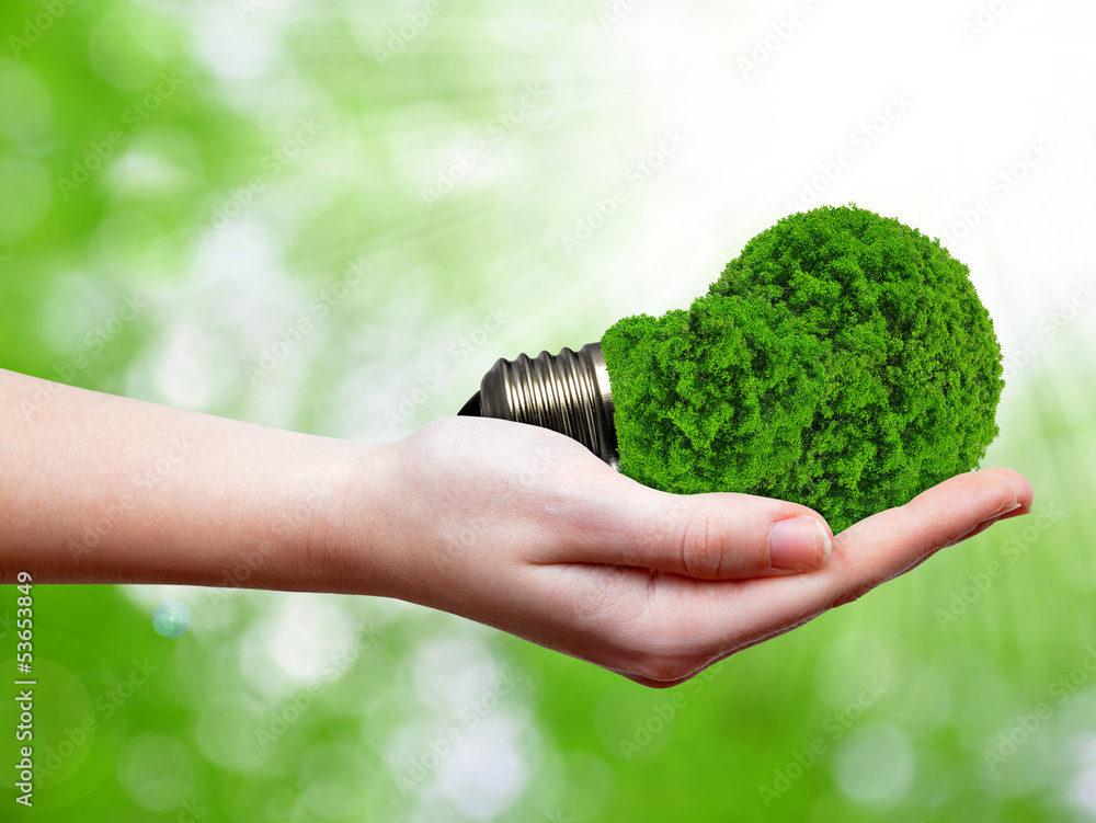 eco energy bulb in hand on green background