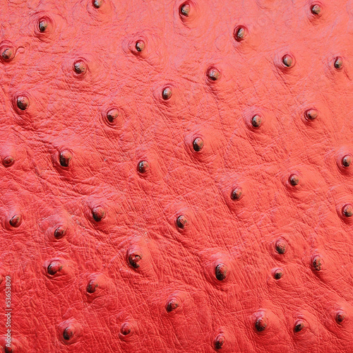 red ostrich leather texture