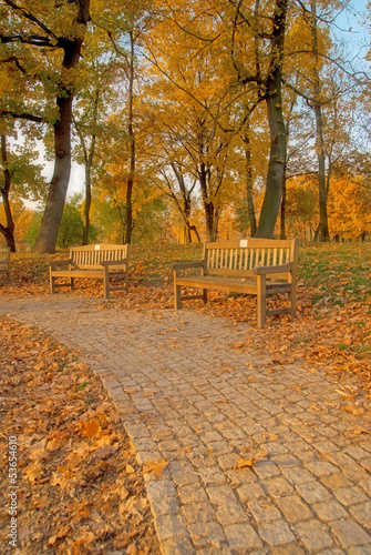 Benches in the park in autumn