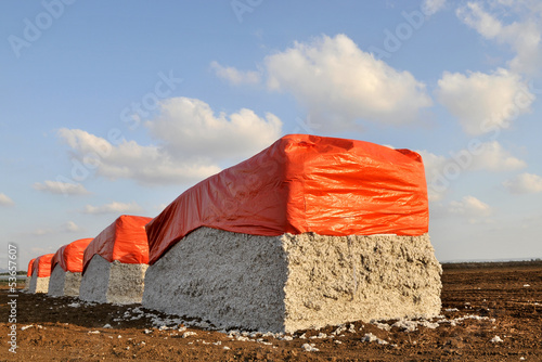 Bales of cotton against cotton in Israel