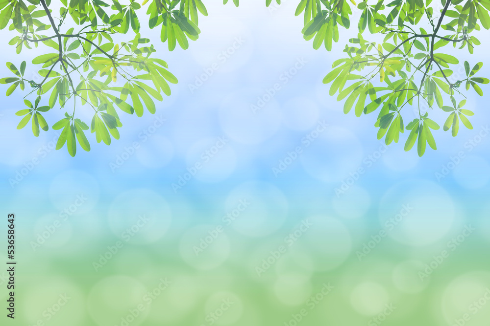 natural green background with selective focus natural green background with selective focus