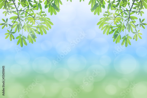 natural green background with selective focus © small room