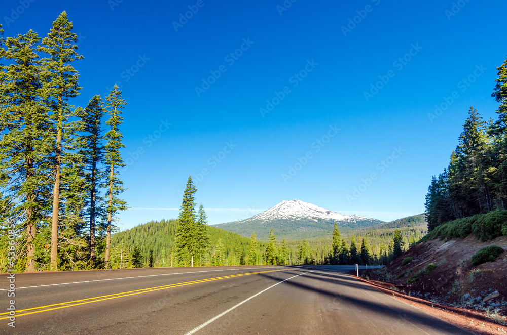 Forest, Mountain, and Highway