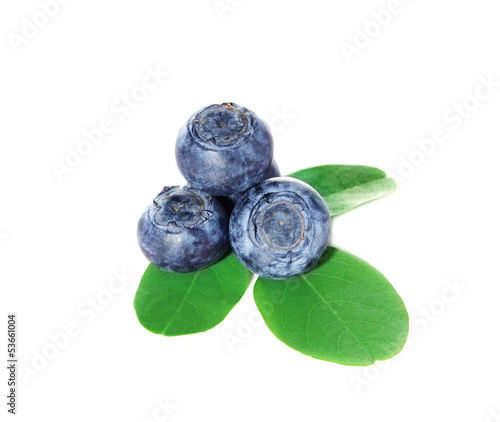 Blueberries, blueberry with leaves on white background.