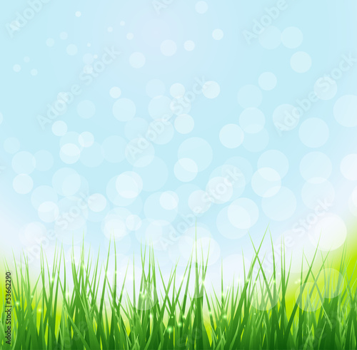 Green grass background