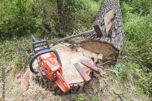 bûcheron professionel