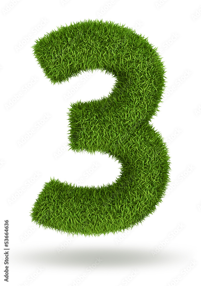 Natural grass number 3 Natural grass number 3