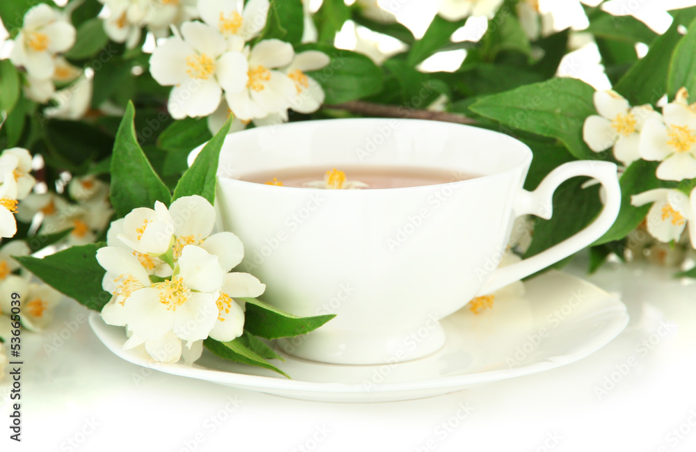 Cup of tea with jasmine, isolated on white Cup of tea with jasmine, isolated on white