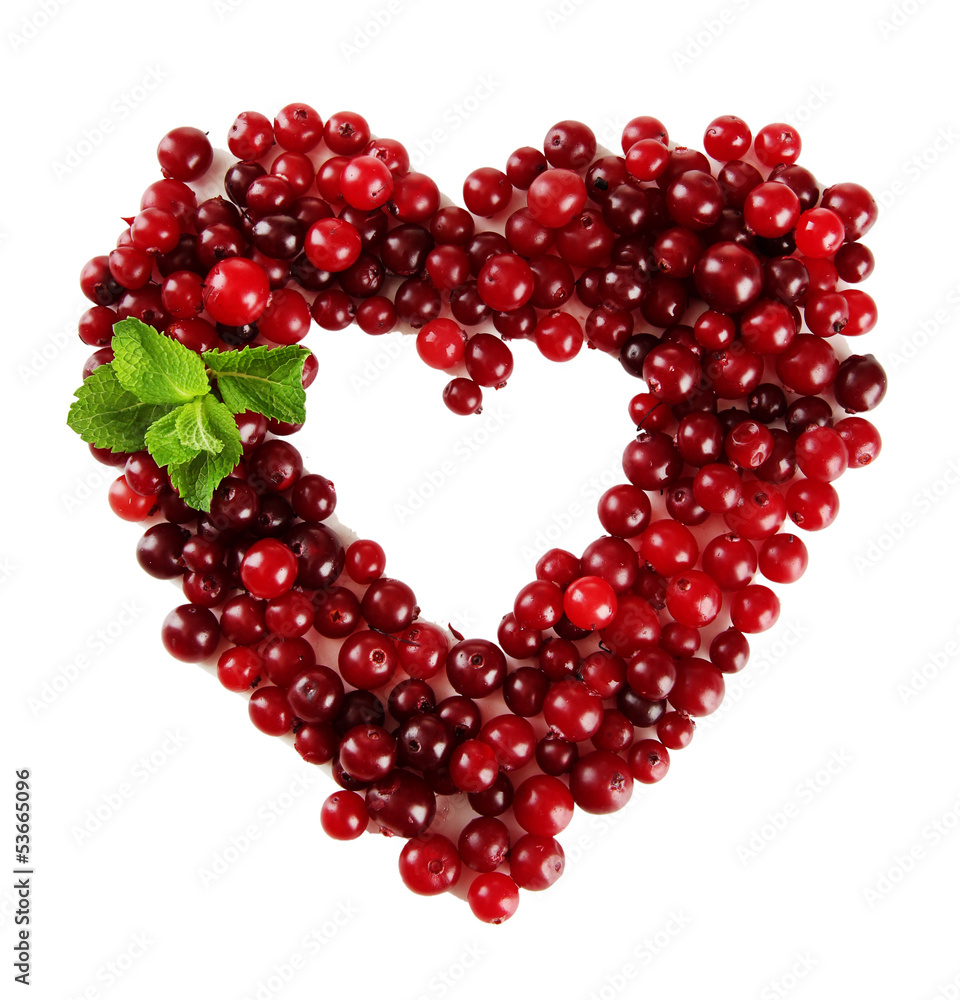 Ripe red cranberries, isolated on white. Ripe red cranberries, isolated on white.