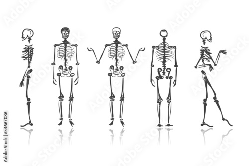 Skeleton sketches for your design