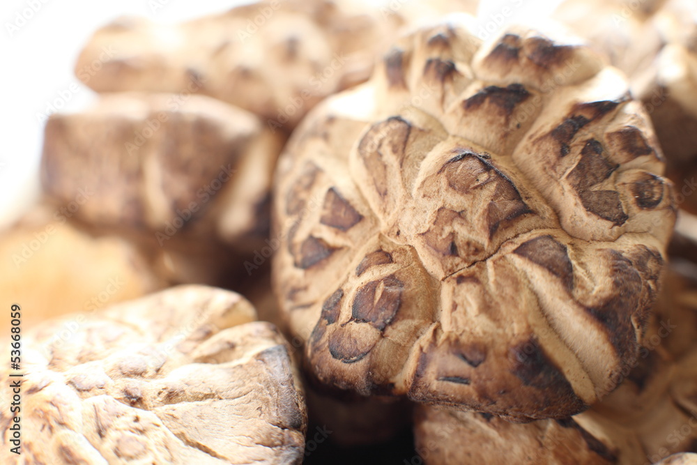 close up of chinese food ingredient, dried shiitake mushroom close up of chinese food ingredient, dried shiitake mushroom