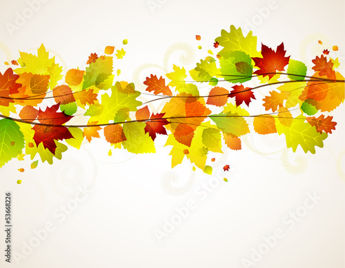 autumn leaves