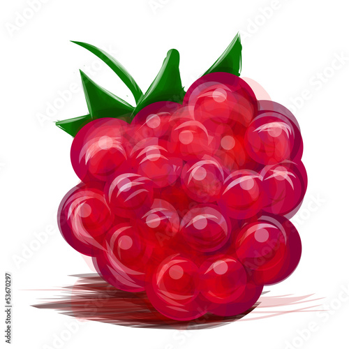 Juicy raspberry isolated on white