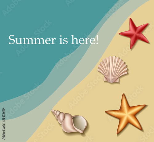 Sea text frame with shells and sea stars