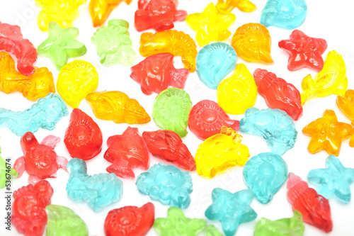 Photography marine animals jelly shrimp shellfish crab fish isolated backgro