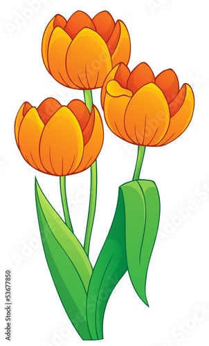 Fototapeta Naklejka Na Ścianę i Meble -  Image with tulip flower theme 1