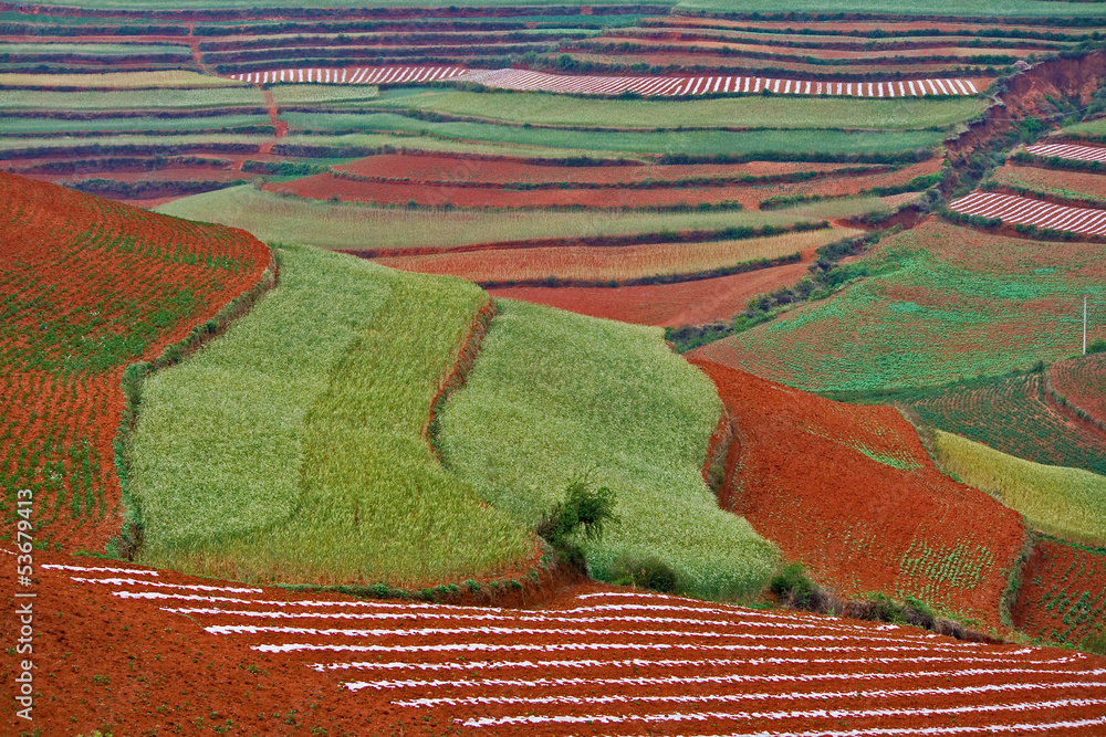 Farmland Farmland