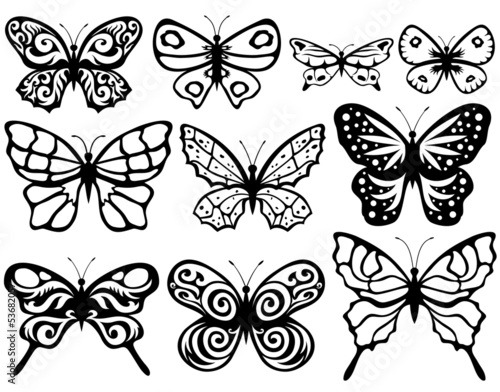 Butterflies.