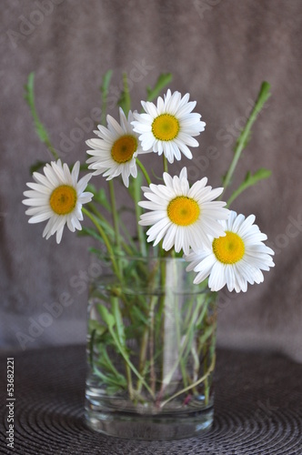 Wallpaper Mural Flowers in a glass vase Torontodigital.ca