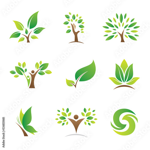 Tree of life symbol and icon