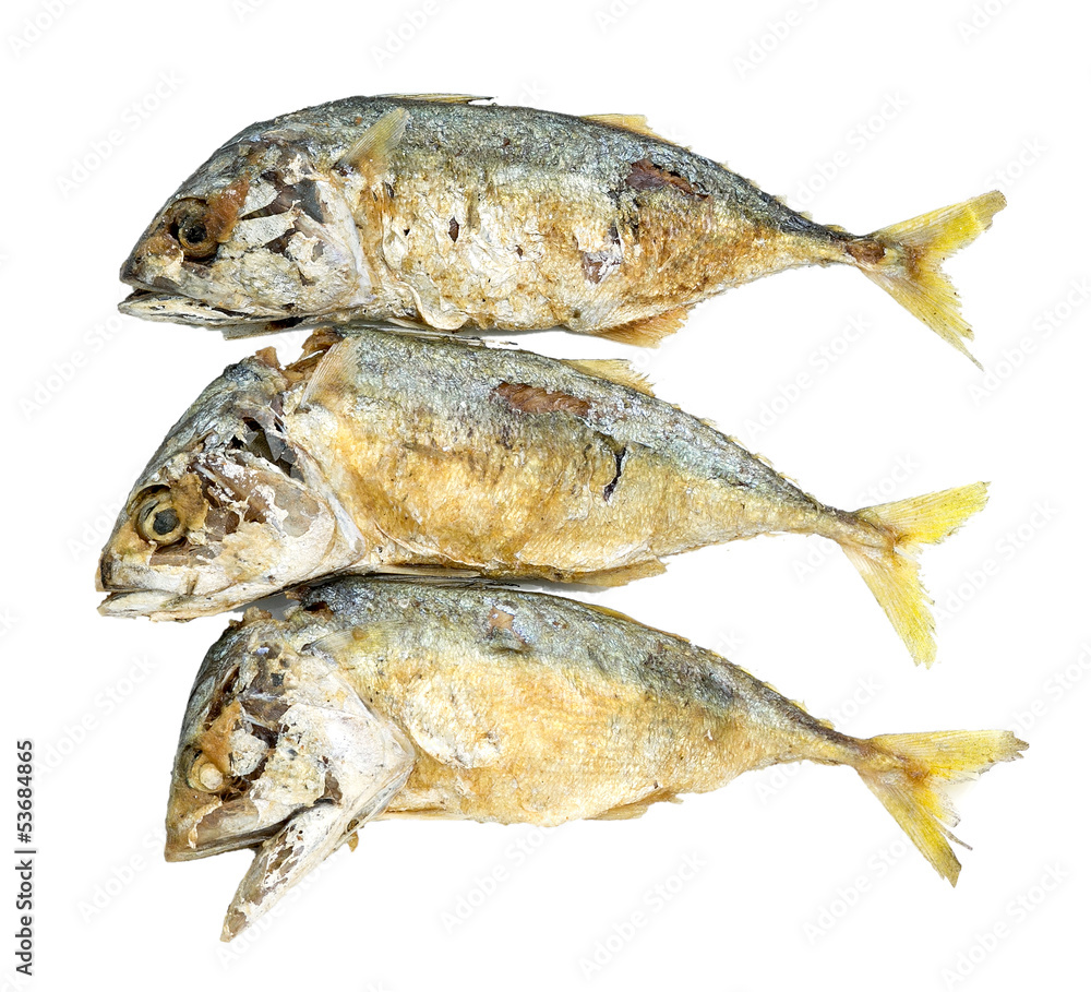 fried mackerel fishes on white background fried mackerel fishes on white background