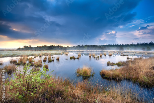 blue stormy sky over swamp with cotton-grass photo
