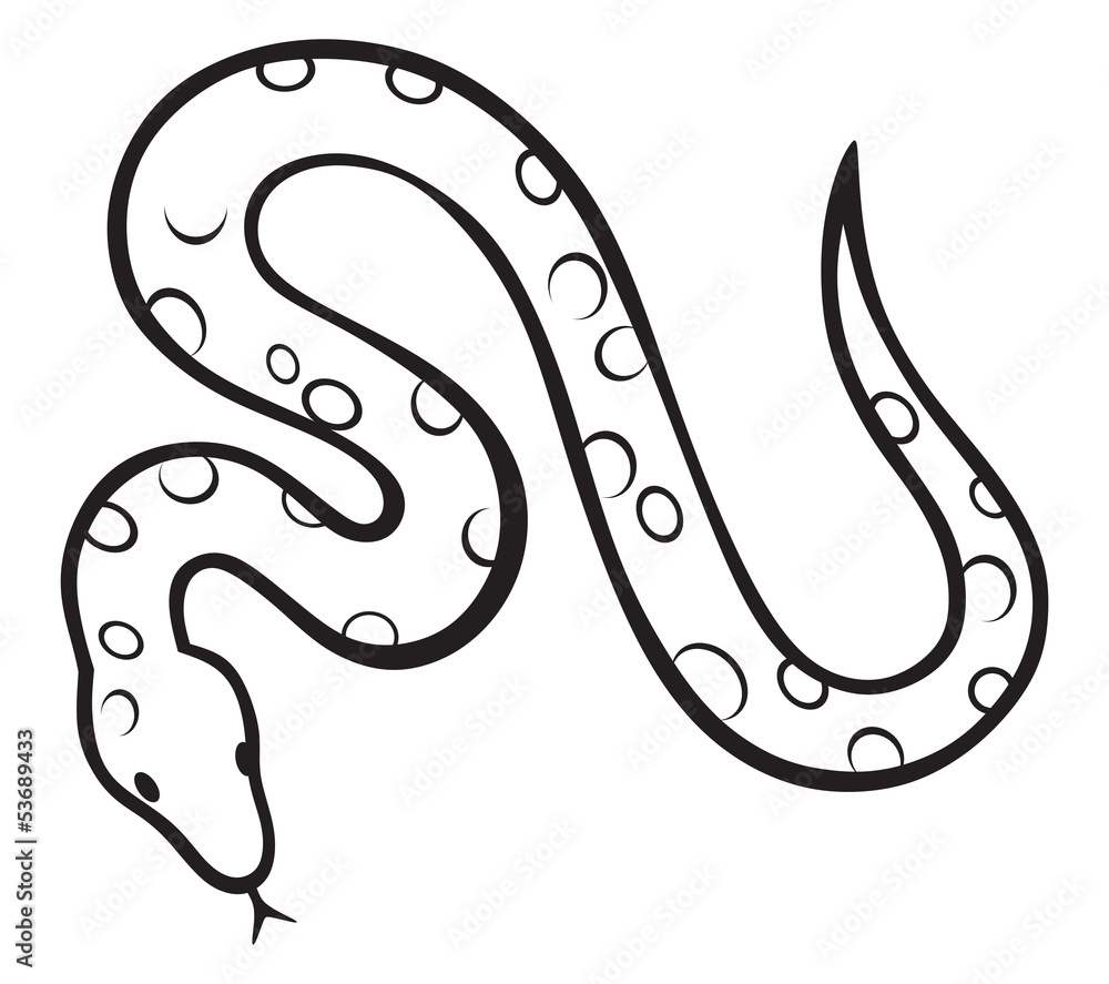 Obraz premium Black snake isolated on white background