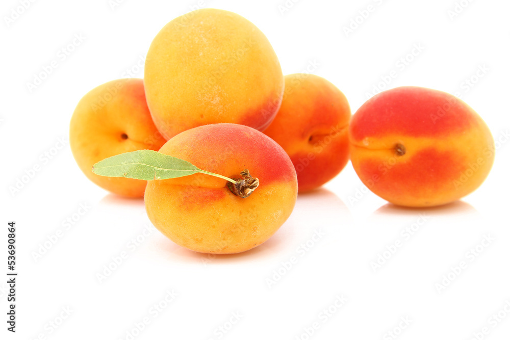Abricots isolés Abricots isolés