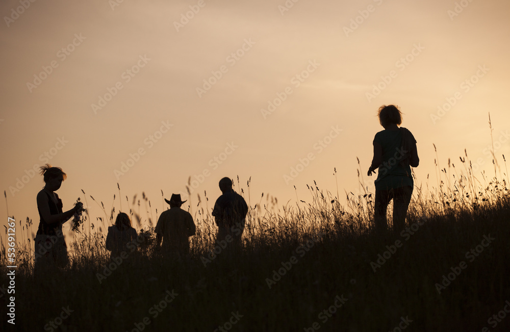Obraz premium Silhouettes of People picking flowers during midsummer soltice