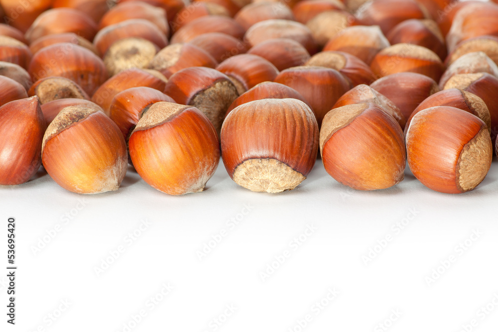 Unbroken hazelnuts on white surface Unbroken hazelnuts on white surface