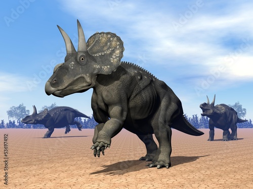 Dinoceratops dinosaur in the desert - 3D render © Elenarts