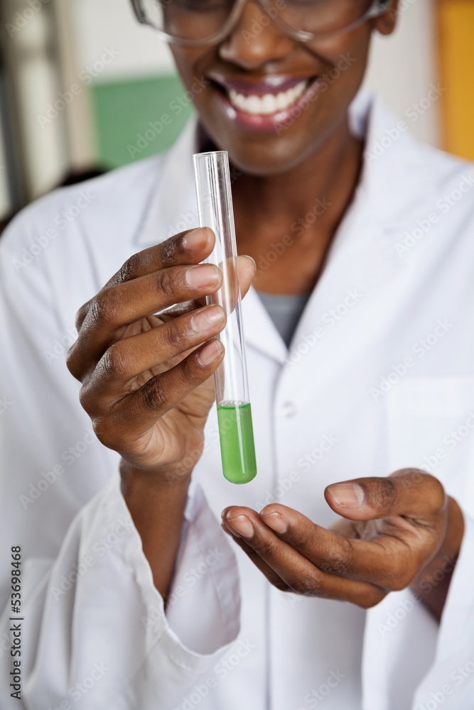 Teacher Holding Chemical Solution In Test Tube Teacher Holding Chemical Solution In Test Tube