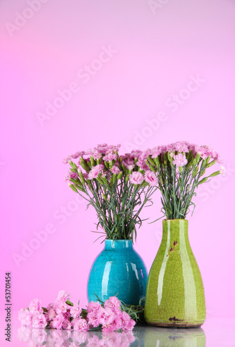 Many small pink cloves in blue vases on pink background