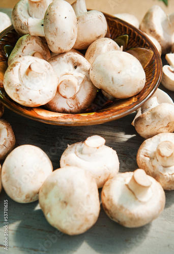Champignon mushrooms with white variety on wooden table