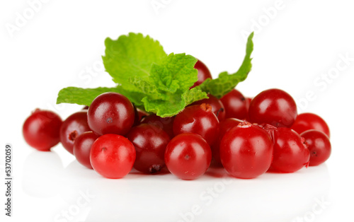 Ripe red cranberries, isolated on white.