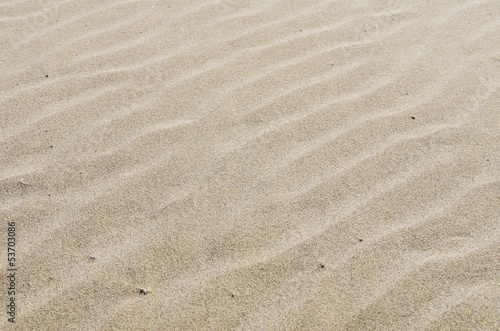 Rippled sandy beach for background