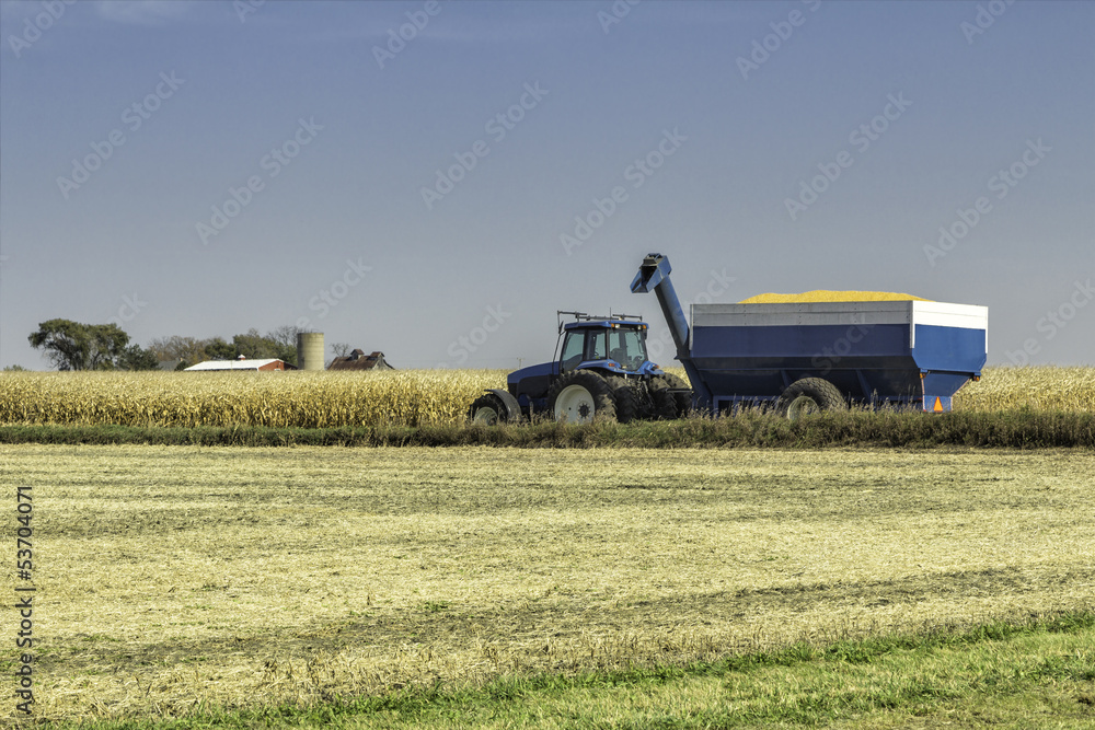 Fototapeta premium Blue agliculture tractor