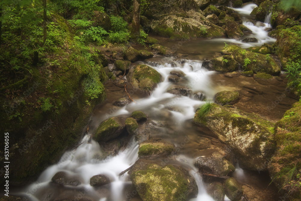 waterfall in forest