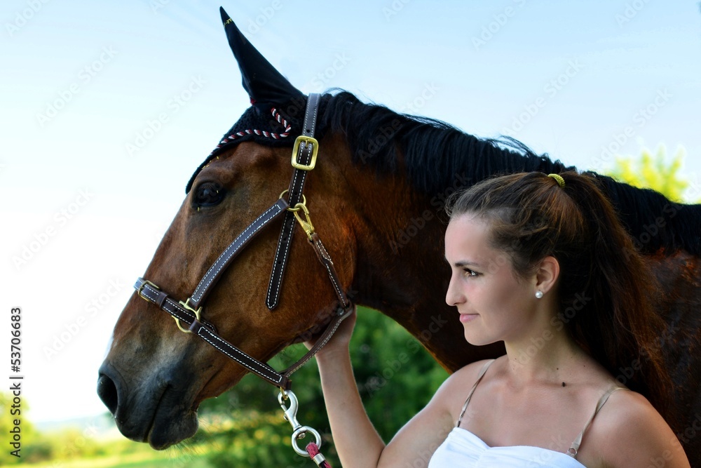 Fototapeta premium équitation