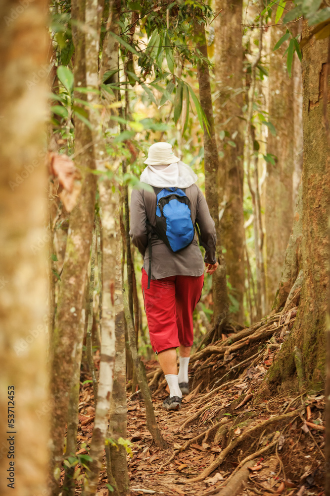 Naklejka premium Man trekking in tropical park in Sri Lanka