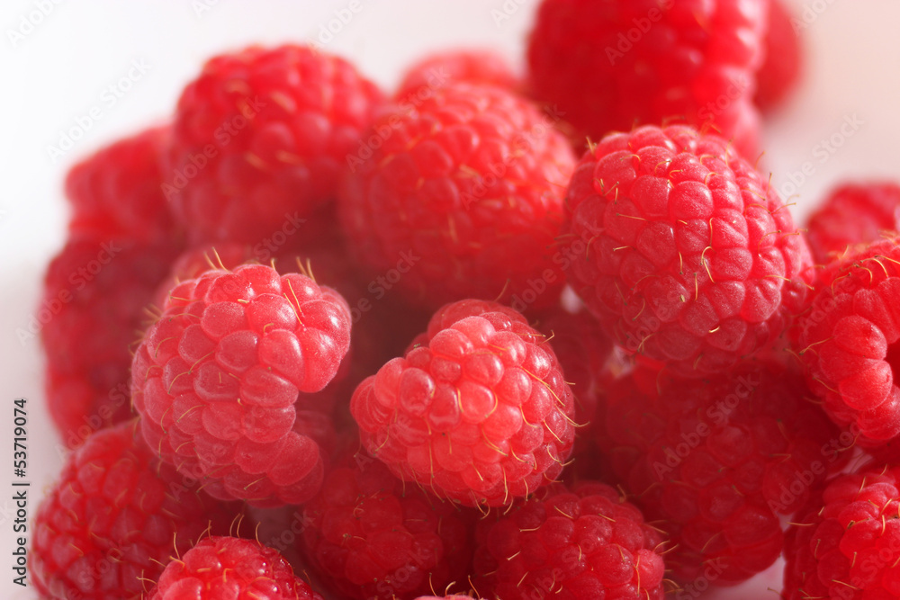 Red raspberry Red raspberry