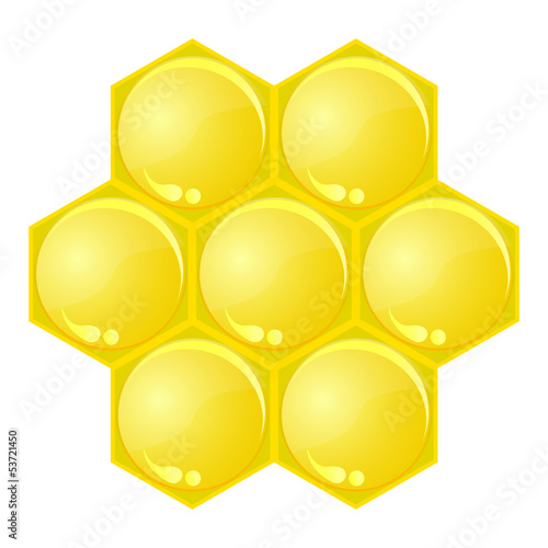 honey comb