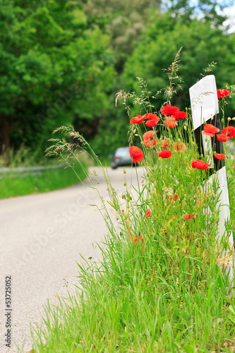 Straßenrand mit Leitpfosten und Mohnblumen photo