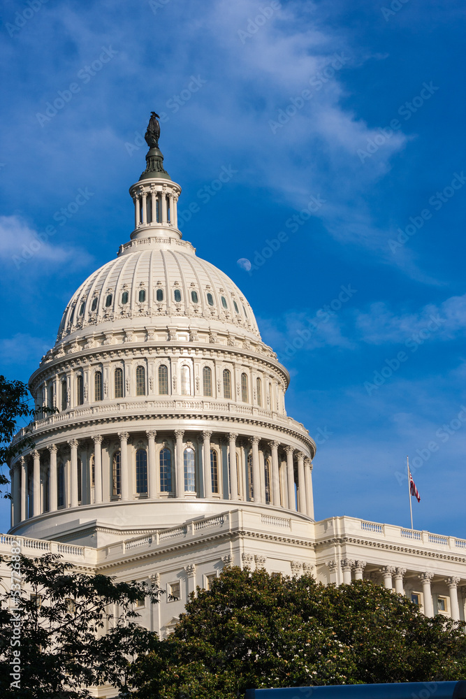 Obraz premium Moon Over Capitol Dome