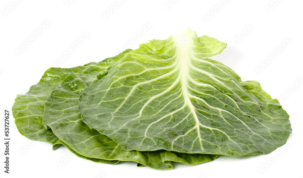 Lettuce Lettuce