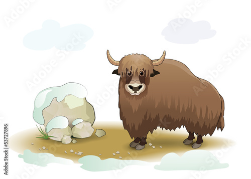 Yak