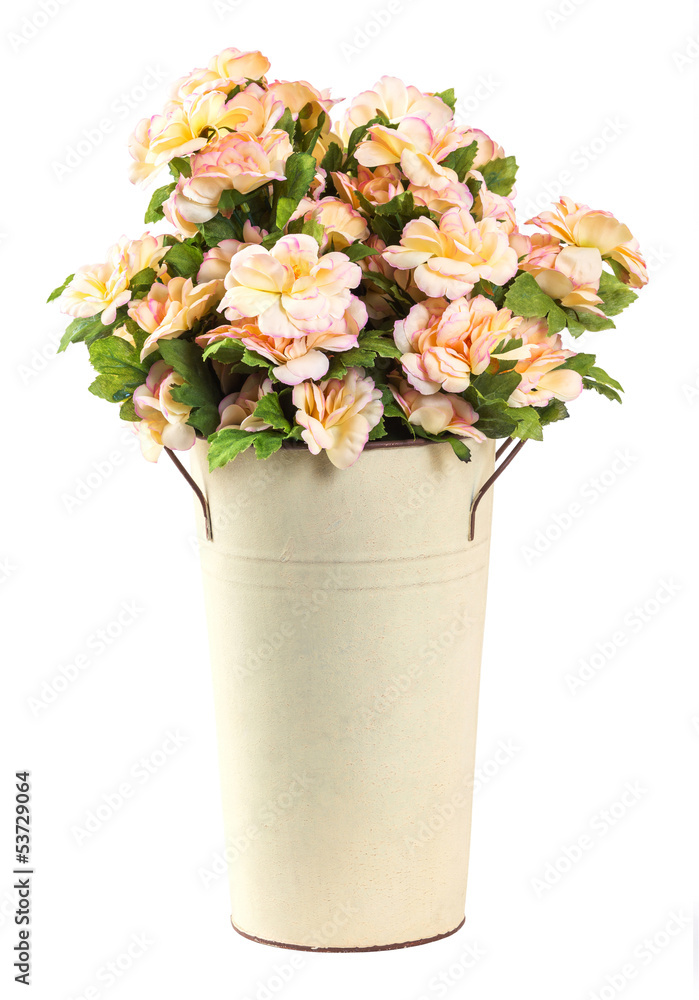 Bouquet of Jasmine flower