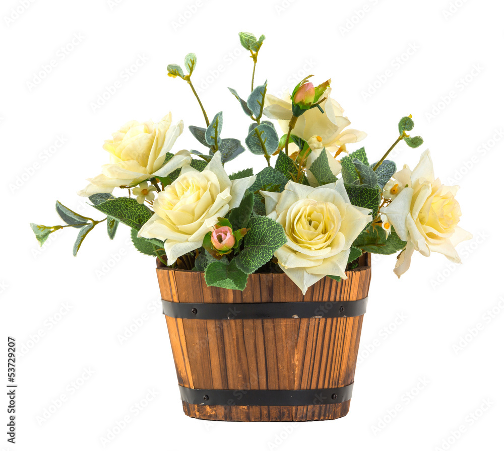 Bouquet of white rose Bouquet of white rose